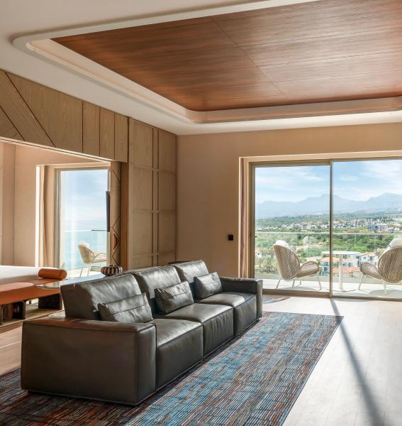 Executive Suite Mountain View
